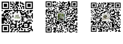 景觀雕塑定制 景觀雕塑定制